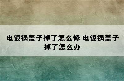 电饭锅盖子掉了怎么修 电饭锅盖子掉了怎么办